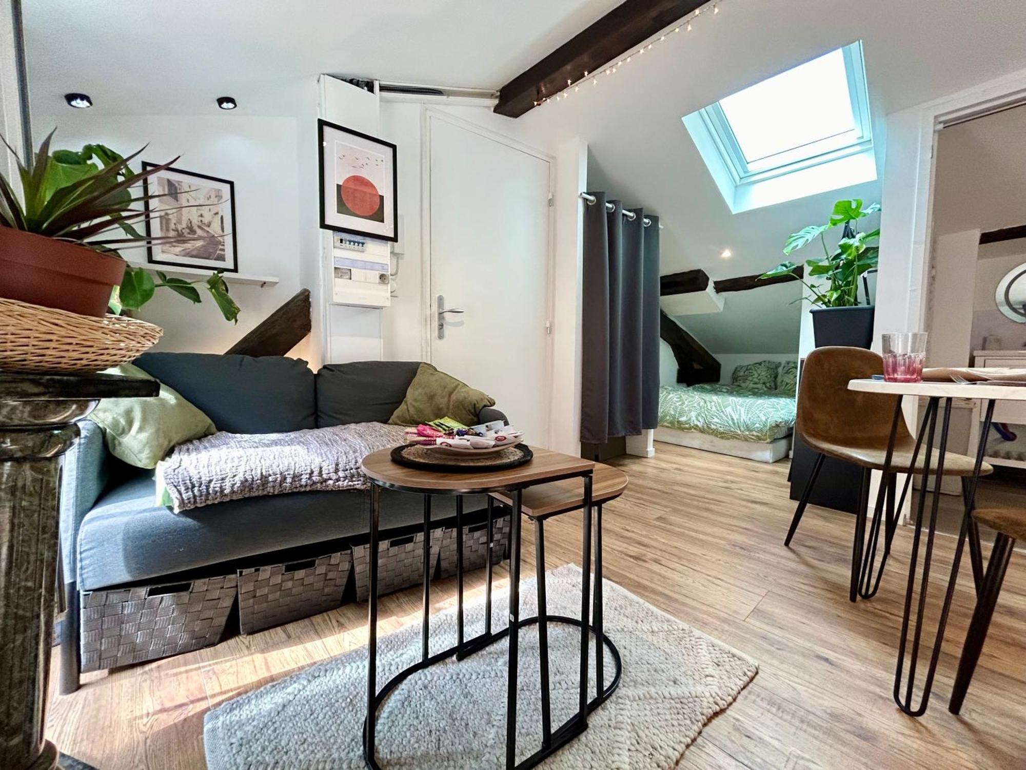 Loft Hortensia Hyper Centre Castres Castres  Exterior foto